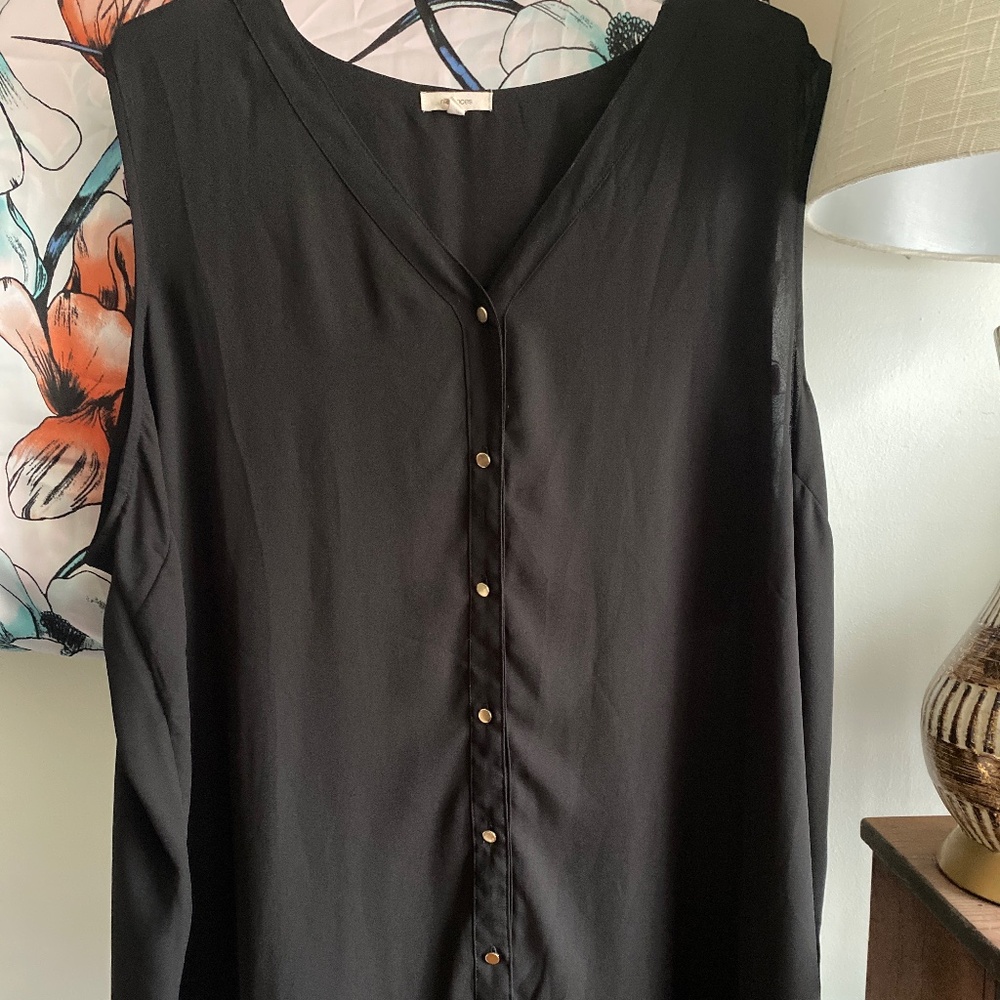 Black Sheer Sleeveless Top Blouse 3X